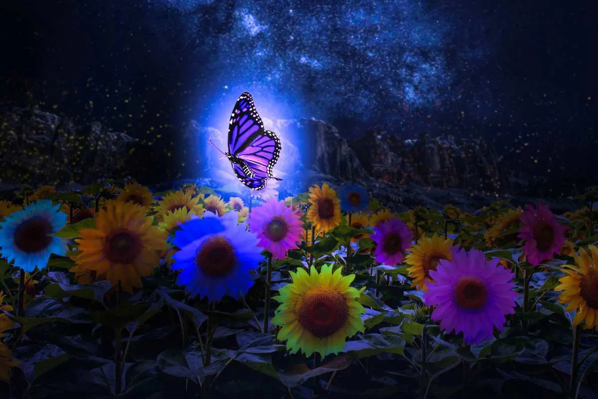 nouveautes-photoshop-2024-dossier-complet